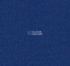 Ковровая плитка Interface Polichrome Solid 4266015 Blue Nights фото 1 | FLOORDEALER